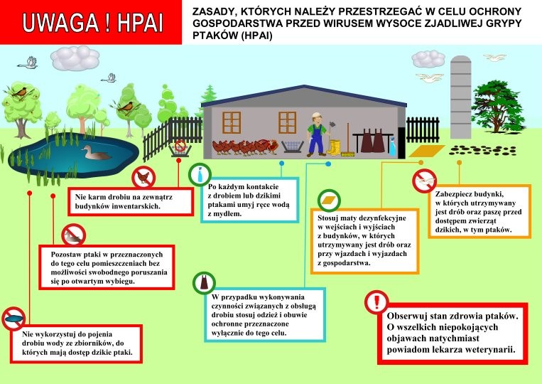 Plakat o bioasekuracji i profilaktyce ptasiej grypy przygotowany przez Główny Inspektorat Sanitarny