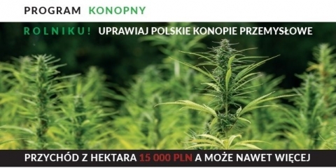 Program konopny - informacja dla rolników