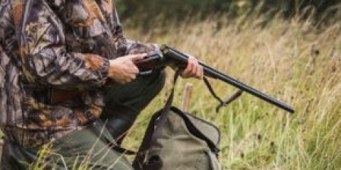 Dostęp do książki ewidencji pobytu myśliwych na polowaniu indywidualnym