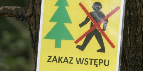 UWAGA ZAKAZ WSTĘPU DO LASU!!!