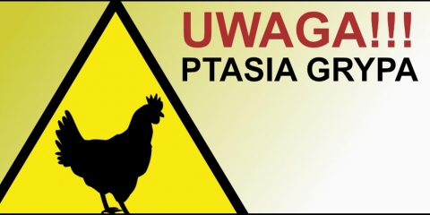 Uwaga! Ptasia grypa - ważne informacje 