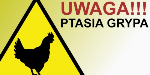 Ptasia grypa - aktualizacja - uchylenie rozporządzenia