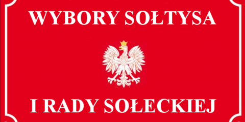 Wybór Sołysa i Rady Sołeckiej sołectwa Brzoza