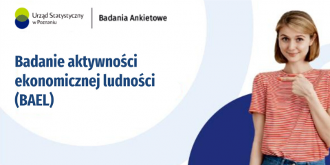 Badanie aktywności ekonomicznej ludności (BAEL)