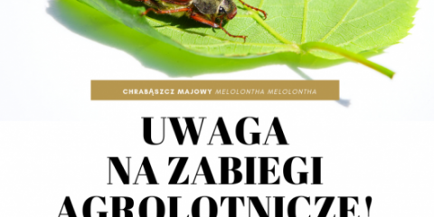 Informacja o planowanych zabiegach z zastosowaniem środków ochrony roślin oraz tymczasowy zakaz wstępu do lasu