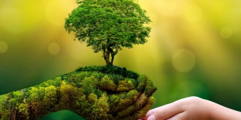 „Nasz pomysł na ochronę środowiska” – XI edycja pn. „Zielone Przystanki Wielkopolski”