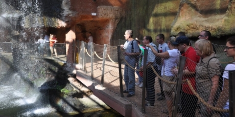 Podopieczni WTZ we wrocławskim ZOO