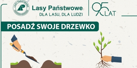 Narodowe Sadzenie Lasu