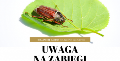 uwaga_na_zabiegi_agrolotnicze!