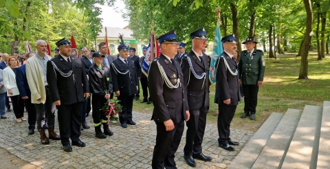 Opis zdjęcia