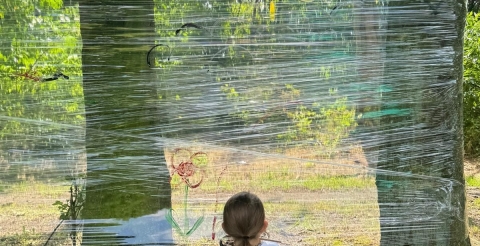 Piknik w Ceradzu Dolnym