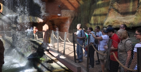 zoo - WTZ Duszniki (2)