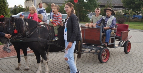 Kucyki zaprzężone do bryczki konnej z mieszkańcami uczestniczącymi w Dożynkach Gminnych 2021. 