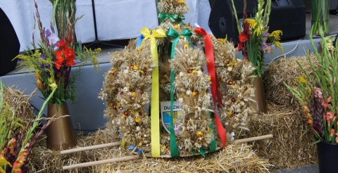 Wieniec dożynkowy
