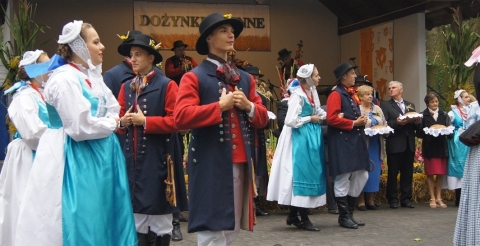 DSC05520