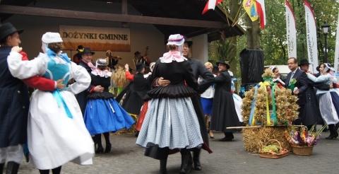 DSC05543