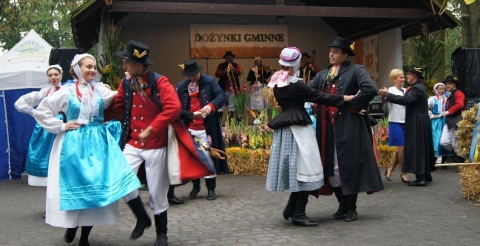 DSC05545