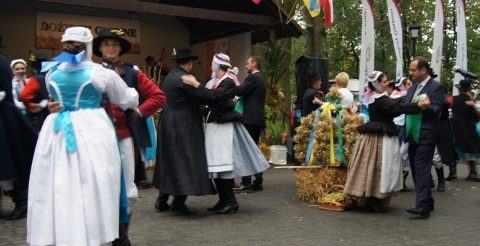 DSC05534