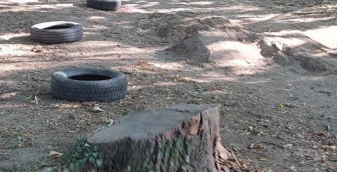 Park w Dusznikach