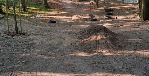 Park w Dusznikach